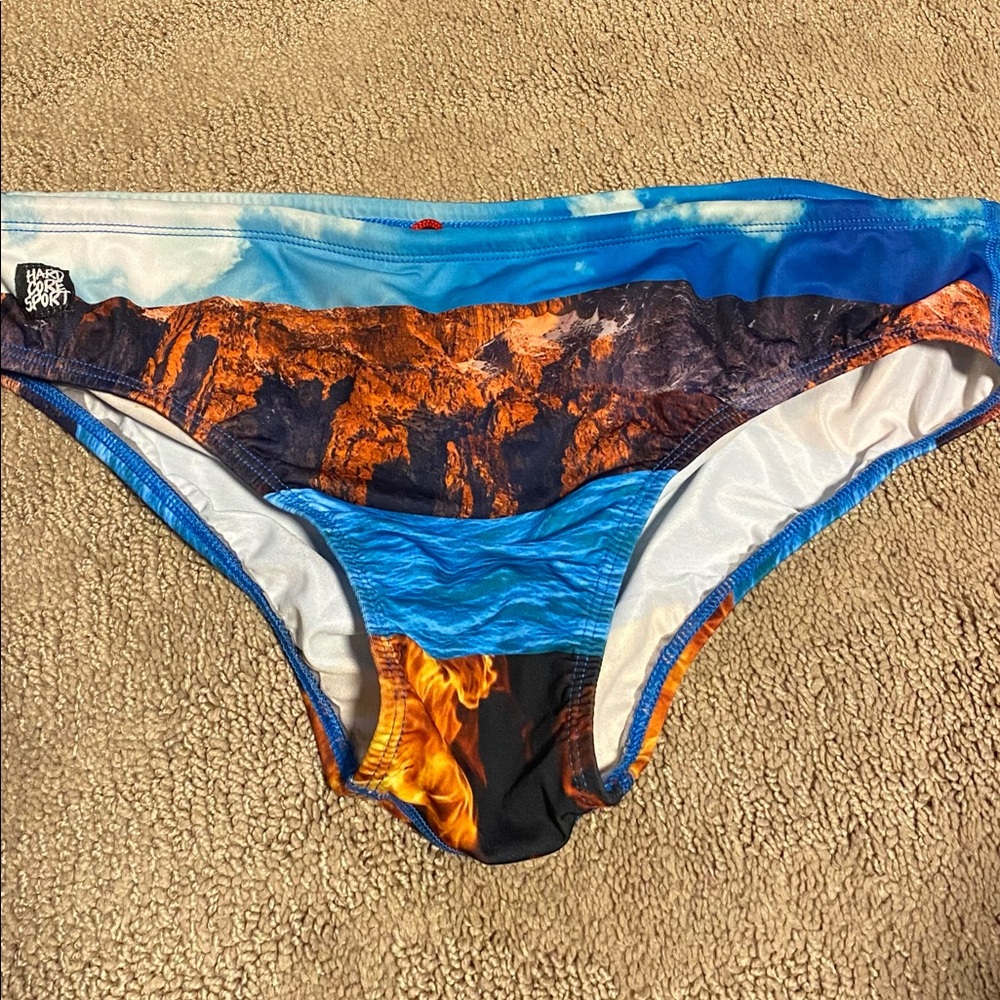 Hardcore men’s team competition swim brief XL
